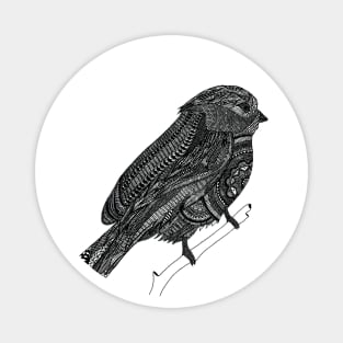 Robin (Design on Front) Magnet